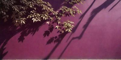 The primary subject of the image is a tree with green leaves, which is casting a shadow on a purple wall. The setting is an outdoor environment, with the tree and the wall being the main objects in the scene. The visual style appears to be a photo, capturing the natural light and shadows of the tree. The colors in the image are predominantly purple and green, creating a calm and serene atmosphere.