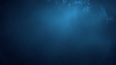 The primary subject of the image is a blue ocean with a clear blue sky above. The setting is underwater, with the ocean floor visible. The visual style is a photo of the ocean floor, capturing the beauty of the underwater environment. The colors and mood are predominantly blue, creating a serene and calming atmosphere.