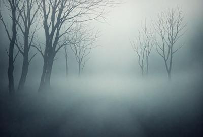 The primary subject of the image is a foggy forest with a path leading through it. The setting is a forest with trees and fog, creating a mysterious and atmospheric environment. The visual style is a painting, which adds a sense of artistic expression to the scene. The colors and mood are predominantly dark and moody, with the fog and trees creating a sense of depth and intrigue.