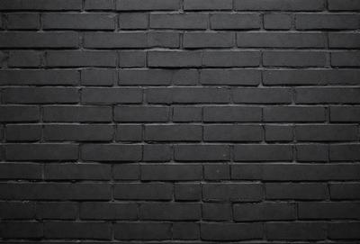The primary subject of the image is a brick wall. The setting is a black and white photo, which gives the image a classic and timeless appearance. The visual style is a close-up of the brick wall, showcasing the intricate patterns and textures of the bricks. The colors and mood of the image are predominantly black and white, creating a sense of depth and contrast.