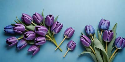 The primary subject of the image is a bouquet of purple tulips. The setting is a blue background, which creates a visually appealing contrast with the purple flowers. The visual style is a close-up of the flowers, showcasing their details and beauty. The colors and mood of the image are predominantly purple, which gives the scene a calm and serene atmosphere.