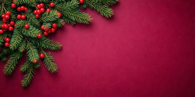 The primary subject of the image is a close-up of a potted plant with red berries on it. The plant is placed on a purple wall, which serves as the setting and background of the scene. The visual style of the image is a photo, capturing the details of the plant and its surroundings. The colors and mood of the image are predominantly purple, creating a calm and serene atmosphere.