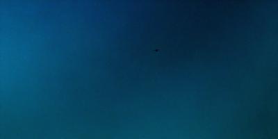 The primary subject of the image is a bird flying in the sky. The bird is positioned in the middle of the scene, soaring above the clouds. The setting is a vast, open sky with a few clouds scattered throughout. The visual style is a realistic representation of the bird in flight, capturing the bird's movement and the beauty of the sky. The colors and mood of the image are predominantly blue, with the bird standing out against the backdrop of the cloudy sky.