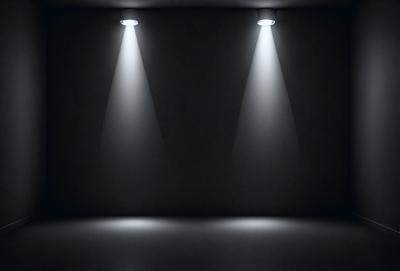 The primary subject of the image is a light source, which is shining brightly and creating a dramatic effect on the surrounding environment. The light source is located in the upper left corner of the image, and its rays are illuminating the space. The setting is a black background, which contrasts with the bright light source, creating a striking visual effect. The visual style of the image is a black and white photo, which adds to the dramatic atmosphere. The colors and mood of the image are predominantly dark,