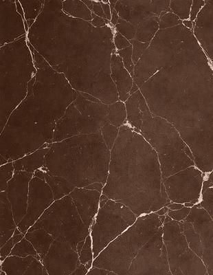 The image features a brown marble tile with a pattern of white and brown spots. The tile appears to be a part of a wall, and the overall atmosphere is elegant and sophisticated. The visual style of the image is a close-up of the marble tile, showcasing its intricate design and texture.