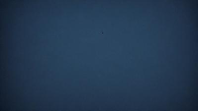 The primary subject of the image is a bird flying in the sky. The bird is positioned in the middle of the scene, with its wings spread out. The setting is a dark blue sky, which creates a dramatic and moody atmosphere. The visual style of the image is a photo, capturing the bird in its natural environment. The colors and mood of the image are predominantly dark and dramatic, with the bird being the only point of interest in the vast expanse of the sky.