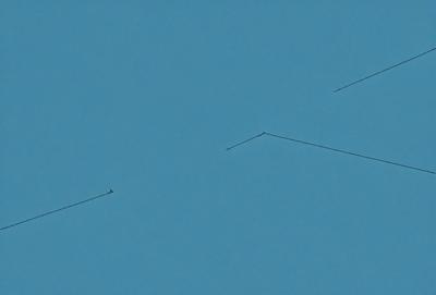 The primary subject of the image is a bird flying in the sky. The bird is positioned in the middle of the scene, surrounded by a clear blue sky. The setting is a vast, open space with no visible landmarks or objects. The visual style of the image is a photo, capturing the bird in its natural environment. The colors and mood of the image are predominantly blue, creating a serene and peaceful atmosphere.