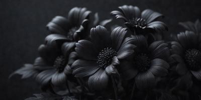 The primary subject of the image is a group of black flowers. The setting is a dark room, and the visual style appears to be a black and white photo. The dominant colors are black and white, creating a moody atmosphere. The flowers are arranged in a vase, and their contrasting colors and textures make them stand out against the dark background.