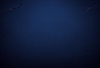 The primary subject of the image is the night sky, which is a dark blue color. The setting is a vast, open space with no visible landmarks or objects. The visual style is a photo, capturing the beauty of the night sky. The colors and mood are serene and peaceful, as the sky is void of any distractions or light sources.