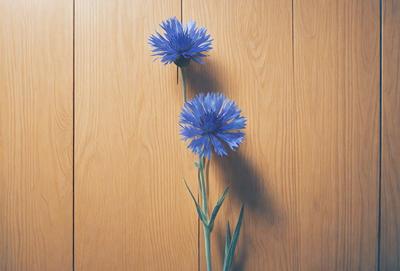 The primary subject of the image is a pair of blue flowers, which are the main focus of the scene. The flowers are placed against a wooden wall, creating a natural and rustic backdrop. The visual style of the image is a photo, capturing the beauty of the flowers in their natural environment. The colors of the flowers are predominantly blue, creating a calm and serene atmosphere.
