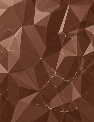 The image features a brown and white patterned wallpaper with a geometric design. The wallpaper has a brown background with white geometric shapes, creating a visually appealing and unique pattern. The overall atmosphere of the image is warm and inviting, with the combination of the brown and white colors creating a sense of harmony and balance.