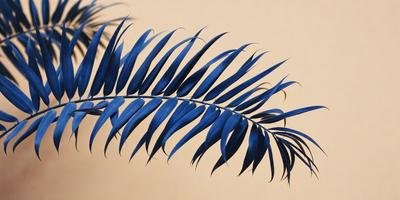 The primary subject of the image is a large blue leaf, which is the main focus of the scene. The leaf is prominently displayed against a tan background, creating a contrast between the blue and the beige. The visual style of the image is a close-up of the leaf, showcasing its intricate details. The dominant colors in the image are blue and tan, giving the scene a calm and natural atmosphere.