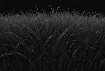 The primary subject of the image is a field of tall, dry grass. The setting is a black and white photo, which gives the scene a classic and timeless appearance. The visual style is a close-up of the grass, emphasizing its texture and details. The colors and mood of the image are predominantly black and white, creating a sense of depth and contrast.