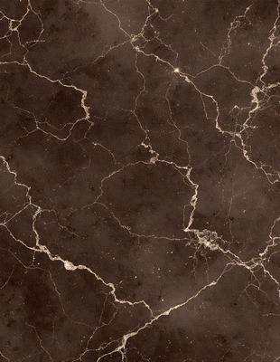 The image features a marble wall with a pattern of holes and ridges. The wall appears to be a dark brown color, giving it a rich and textured appearance. The holes and ridges on the wall create a unique and intricate design, making it an interesting focal point in the scene.