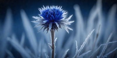 The primary subject of the image is a single blue flower, which is the focal point of the scene. The setting is a frosty environment, with the flower surrounded by a field of ice crystals. The visual style of the image is a close-up of the flower, emphasizing its beauty and uniqueness. The dominant colors in the image are blue and white, creating a serene and icy atmosphere.