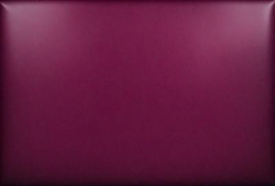 The primary subject of the image is a large, purple wall. The setting is a room with a purple background, and the visual style is a close-up of the wall. The dominant colors in the image are purple, and the overall atmosphere is calm and serene.