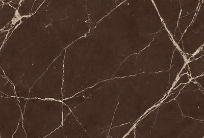 The image features a brown marble-like surface with a pattern of white lines. The setting appears to be a room with a brown floor, and the visual style is a close-up of the marble surface. The dominant colors are brown and white, creating a warm and earthy atmosphere.