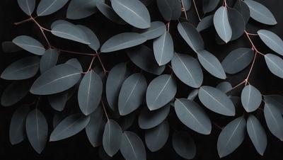 The primary subject of the image is a close-up of a tree with green leaves. The setting is a dark background, which contrasts with the bright green leaves. The visual style is a black and white photo, giving the image a classic and timeless appearance. The dominant colors are green and black, creating a serene and natural atmosphere.