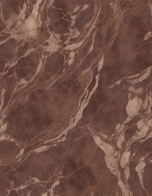 The primary subject of the image is a marble wall with a brown and white pattern. The setting is a room with a brown and white marble floor. The visual style is a close-up of the marble wall, showcasing its intricate design. The colors and mood of the image are warm and earthy, with the brown and white marble creating a natural and elegant atmosphere.