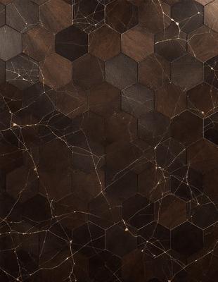 The primary subject of the image is a close-up of a marble tile pattern. The setting is a wall with a pattern of hexagons, and the visual style is a close-up of the tile pattern. The colors and mood of the image are predominantly brown and earthy tones, giving it a natural and elegant appearance.
