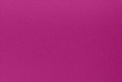 The primary subject of the image is a large, pink surface. The setting is a wall, and the visual style is a close-up of the pink wall. The dominant colors are pink, and the overall atmosphere is bright and vibrant.
