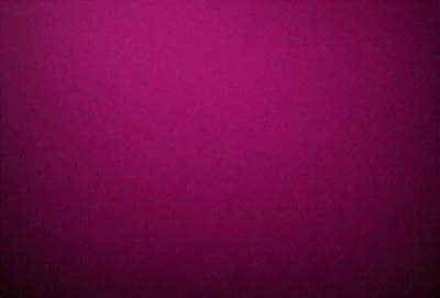 The primary subject of the image is a large, purple wall. The setting is a room with a purple background, which creates a unique and striking visual effect. The visual style of the image is a close-up of the purple wall, emphasizing its vibrant color. The dominant colors in the image are purple, which creates a calm and soothing atmosphere.