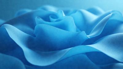 The primary subject of the image is a blue rose. The setting is a blue background, which creates a striking contrast with the blue rose. The visual style is a close-up of the rose, showcasing its details. The dominant colors are blue and white, giving the image a calm and serene atmosphere.