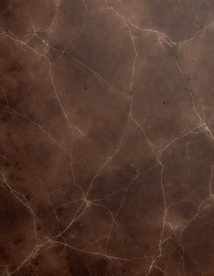 The primary subject of the image is a brown leather wall, which is the main focus of the scene. The setting is a room with a brown leather wall, and the visual style is a close-up of the wall. The colors and mood of the image are warm and earthy, with the brown leather wall being the dominant color.
