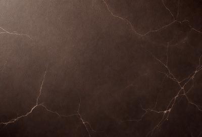 The primary subject of the image is a brown leather surface, which appears to be a leather wall or a leather-like material. The setting is a room with a leather-like wall or a leather-like material on the wall. The visual style of the image is a close-up of the leather surface, showcasing its texture and details. The colors and mood of the image are warm and earthy, with the brown leather being the dominant color.
