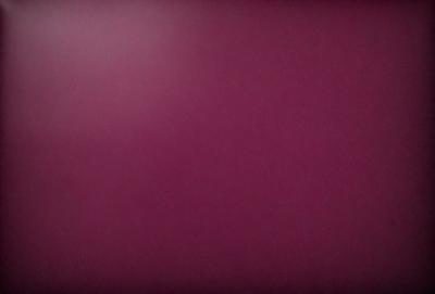 The primary subject of the image is a purple wall. The setting is a room with a purple wall, and the visual style is a close-up of the wall. The dominant colors are purple, and the overall atmosphere is calm and serene.