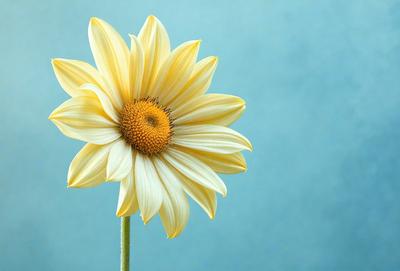 The primary subject of the image is a yellow flower with a brown center, which is the main focus of the image. The setting is a blue background, which provides a contrasting color to the flower. The visual style of the image is a close-up of the flower, showcasing its details. The colors and mood of the image are predominantly yellow and warm, creating a sense of freshness and natural beauty.