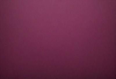 The primary subject of the image is a close-up of a red wall. The setting is a room with a red wall, and the visual style is a photo. The dominant colors in the image are red, and the overall atmosphere is bold and vibrant.