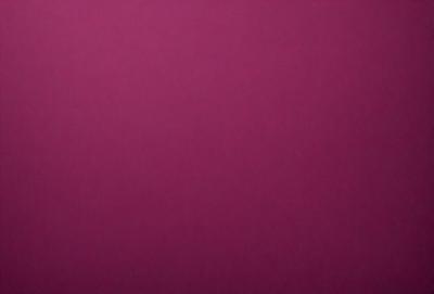 The primary subject of the image is a large, pink wall. The setting is a room with a pink background, and the visual style is a close-up of the wall. The dominant colors in the image are pink, and the overall atmosphere is warm and inviting.
