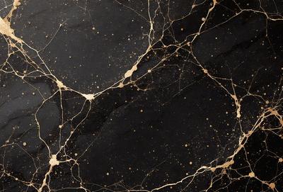 The primary subject of the image is a black marble countertop with a gold-like pattern. The setting is a kitchen, and the visual style is a close-up of the marble countertop. The colors and mood of the image are predominantly black and gold, creating a luxurious and elegant atmosphere.