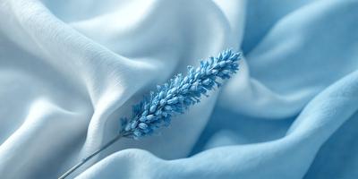 The primary subject of the image is a blue flower, which is the main focus of the scene. The setting is a white cloth, and the visual style appears to be a photo. The dominant colors in the image are blue and white, creating a calm and serene atmosphere.