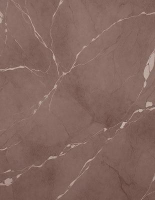 The primary subject of the image is a marble wall with a brown color. The setting is a room with a brown marble floor. The visual style is a close-up of the marble wall, showcasing its texture and pattern. The colors and mood of the image are warm and natural, with the brown marble creating a sense of elegance and sophistication.