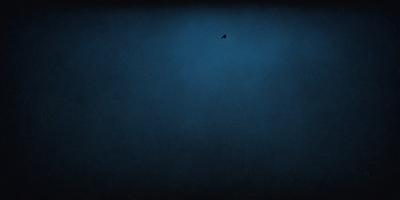 The primary subject of the image is a bird flying in the sky. The bird is positioned in the upper part of the image, with its wings spread out. The setting is a dark blue sky, which creates a dramatic and moody atmosphere. The visual style of the image is a photo, capturing the bird in flight against the backdrop of the sky. The colors and mood of the image are predominantly dark and dramatic, with the blue sky serving as the main color and the bird's presence adding a sense