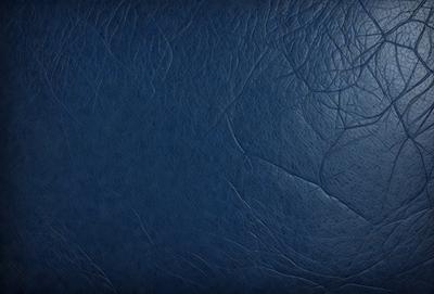 The primary subject of the image is a blue leather book cover. The setting is a close-up of the book cover, showcasing its texture and design. The visual style is a realistic representation of the book cover, with no indication of digital manipulation or artistic alteration. The colors and mood of the image are predominantly blue, giving it a calm and serene atmosphere.