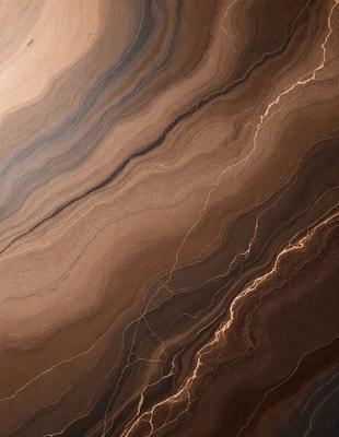 The primary subject of the image is a close-up of a marble surface with a pattern of light and dark streaks. The setting is a natural environment, possibly a rock formation or a stone wall. The visual style is a combination of a photo and a drawing, with the marble surface appearing to be both textured and detailed. The colors and mood of the image are predominantly dark, with the light and dark streaks creating a sense of depth and contrast.
