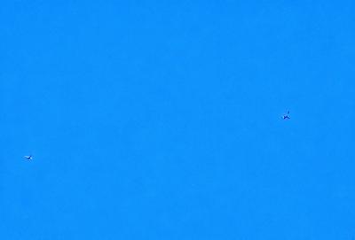 The primary subject of the image is a plane flying high in the blue sky. The setting is a clear, cloudless day with a bright blue sky. The visual style is a photo, capturing the plane in its natural environment. The colors and mood of the image are predominantly blue, creating a calm and serene atmosphere.