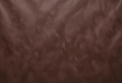 The primary subject of the image is a brown wall with a patterned texture. The setting is a room with a brown wall, and the visual style is a close-up of the wall. The colors and mood of the image are predominantly brown, giving it a warm and earthy atmosphere.