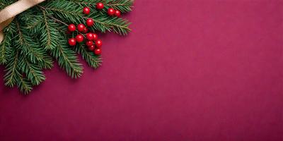 The primary subject of the image is a close-up of a pink wall with a green plant and red berries. The setting is a room with a pink background. The visual style is a photo, and the colors and mood are warm and inviting.