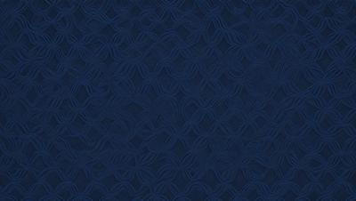 The primary subject of the image is a blue and white patterned fabric. The setting is a dark blue background, which contrasts with the patterned fabric. The visual style is a close-up of the fabric, showcasing its intricate design. The colors and mood of the image are predominantly dark and moody, with the blue fabric providing a sense of depth and sophistication.