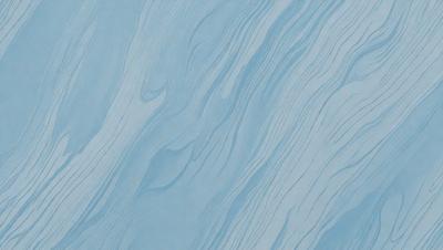 The primary subject of the image is a blue and white patterned wallpaper. The setting is a room with a blue wall, and the visual style is a patterned wallpaper. The dominant colors are blue and white, creating a calm and soothing atmosphere.