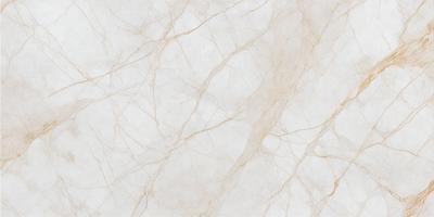 The primary subject of the image is a white marble wall with a brown vein running through it. The setting is a room with a white marble floor. The visual style is a close-up of the marble wall, showcasing its unique texture and color. The colors and mood of the image are predominantly white and brown, giving it a natural and elegant appearance.