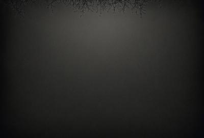 The primary subject of the image is a tree with no leaves, which is the main object in the scene. The setting is a dark, cloudy sky, and the visual style is a black and white photo. The dominant colors are black and white, and the overall atmosphere is moody and dramatic.