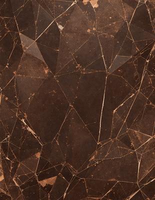 The primary subject of the image is a brown marble tile with a pattern of triangles. The setting is a wall, and the visual style is a close-up of the tile. The colors and mood of the image are warm and earthy, with the brown marble tile being the dominant color.