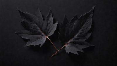 The primary subject of the image is a pair of black leaves, possibly from a tree, placed on a dark surface. The leaves are positioned close to each other, creating a sense of unity. The setting appears to be a black background, which emphasizes the leaves and their contrasting color. The visual style of the image is a close-up of the leaves, showcasing their details and texture. The overall atmosphere of the image is dark and moody, with the black leaves serving as the focal point.
