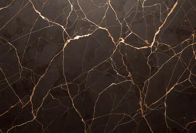 The primary subject of the image is a close-up of a marble countertop with a black background. The countertop features a pattern of gold and black, giving it a luxurious and elegant appearance. The visual style of the image is a photo, capturing the intricate details of the marble surface. The colors and mood of the image are predominantly black and gold, creating a sophisticated and timeless atmosphere.