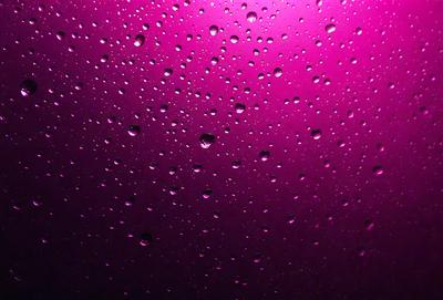 The primary subject of the image is a purple background with water droplets on it. The setting is a dark, possibly purple, background, which creates a moody atmosphere. The visual style is a close-up of the purple background with water droplets, giving the image a unique and artistic appearance. The colors and mood of the image are predominantly purple, with the water droplets adding a touch of brightness and interest to the scene.